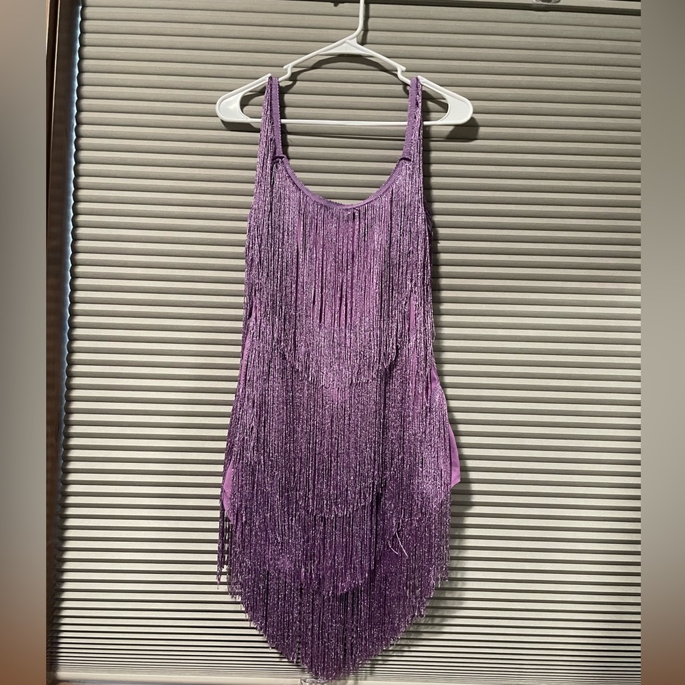 Taylor Swift Speak Now Purple sparkly fringe dress